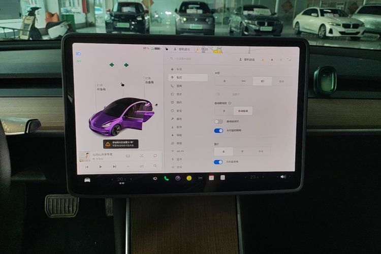 Tesla Model 3 2020 car image #13