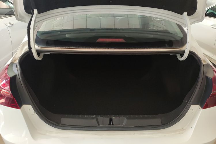 GEELY Emgrand 2021 immagine di auto #19