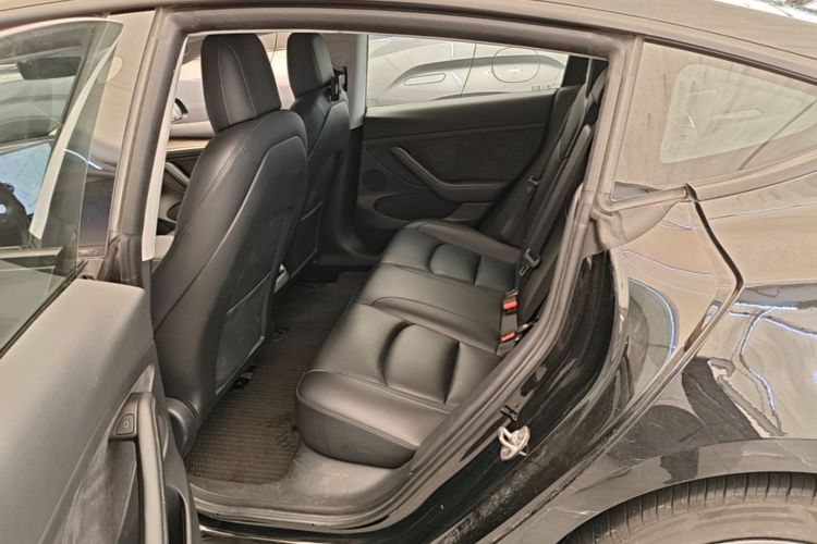 Tesla Model 3 2021 car image #17