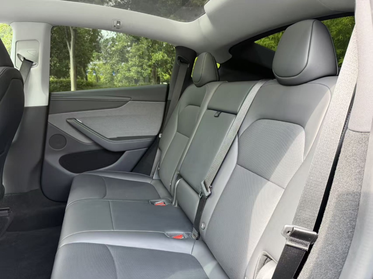Tesla Model Y 2025 #9 Tesla Model Y 2025 car image #9