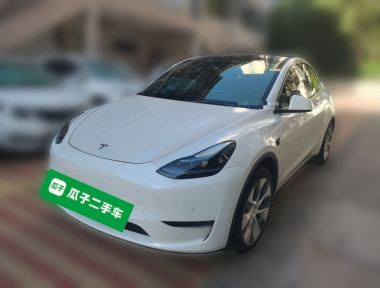 Tesla Model Y 2021 Tesla Model Y 2021 car image