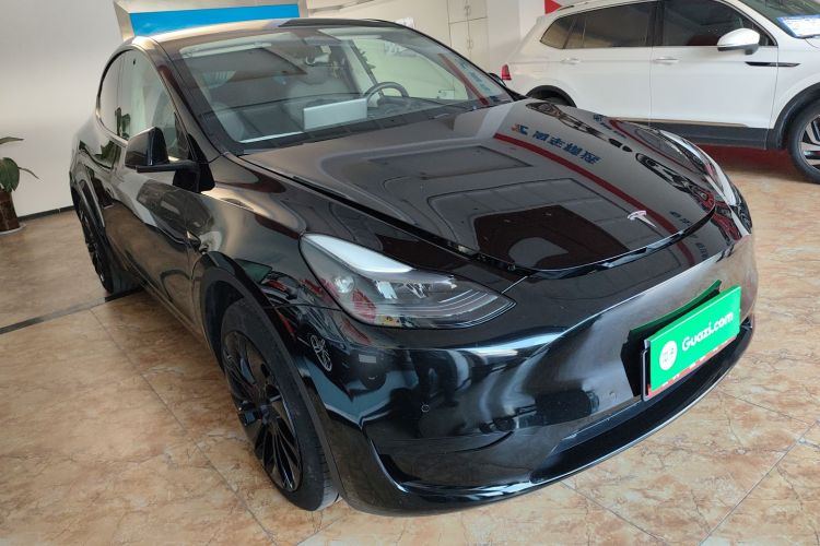 Tesla Model Y 2024 car image #4