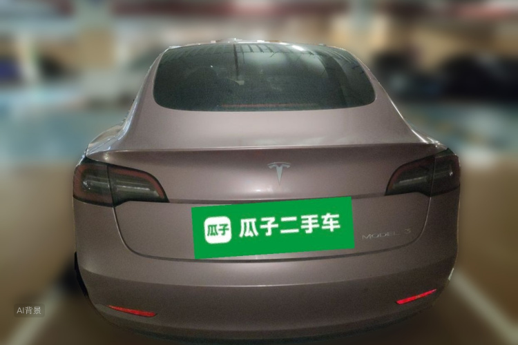 Tesla Model 3 2022 car image #6