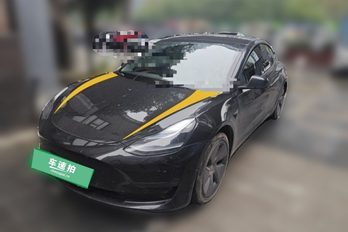 Tesla Model 3 2021 Tesla Model 3 2021 изображение автомобиля