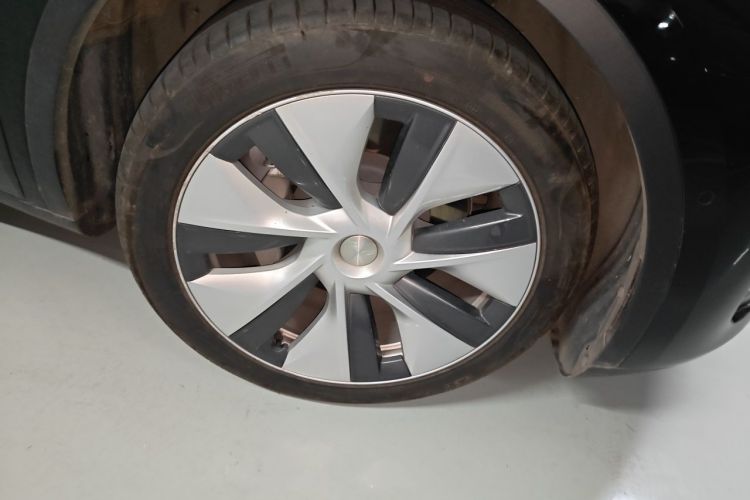 Tesla Model Y 2023 car image #6