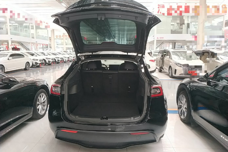 Tesla Model Y 2021 car image #19