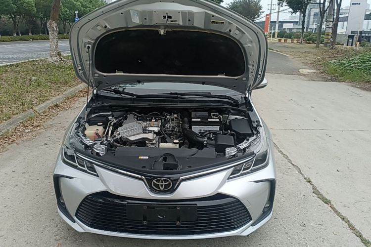Toyota Corolla 2019 #20 Toyota Corolla 2019 car image #20