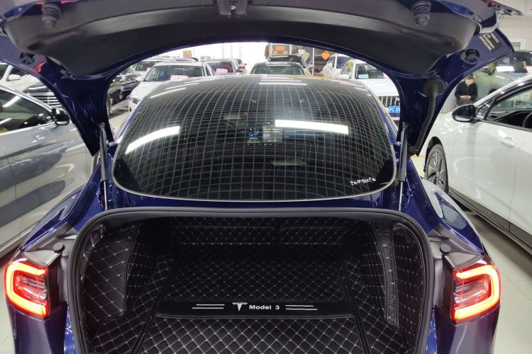 Tesla Model 3 2020 car image #19