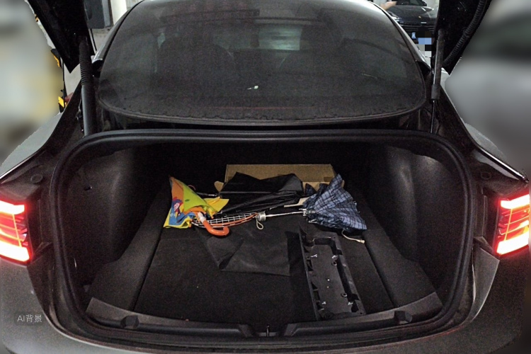 Tesla Model 3 2022 car image #21