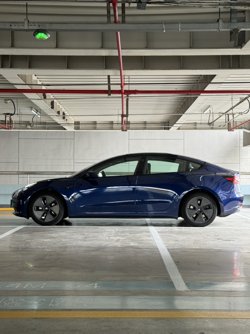 Tesla Model 3 2021 #5 Tesla Model 3 2021 car image #5