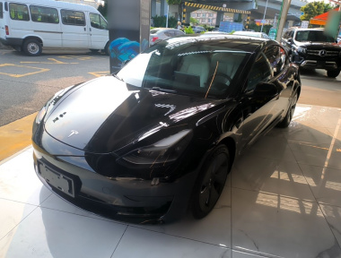 Tesla Model 3 2021 immagine di auto 