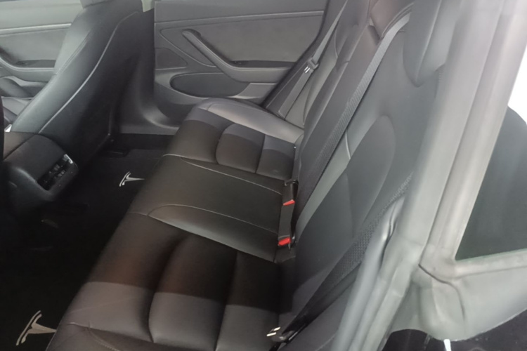 Tesla Model 3 2020 car image #17