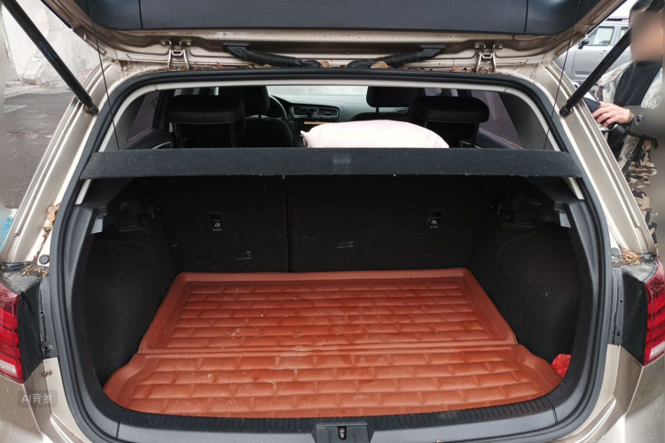 Volkswagen Golf 2020 car image #21