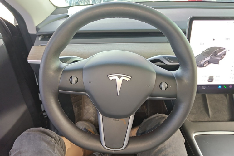 Tesla Model Y 2022 #11 Tesla Model Y 2022 car image #11