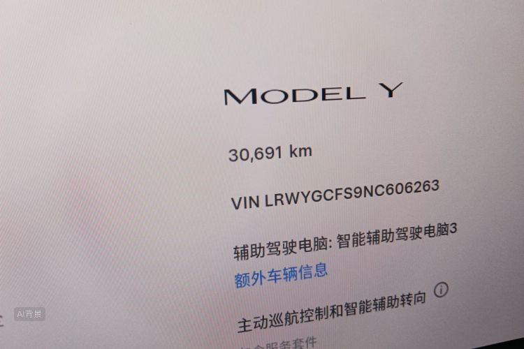 Tesla Model Y 2022 #14 Tesla Model Y 2022 car image #14