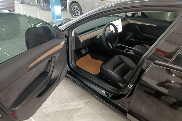 Tesla Model 3 2022 car image #16