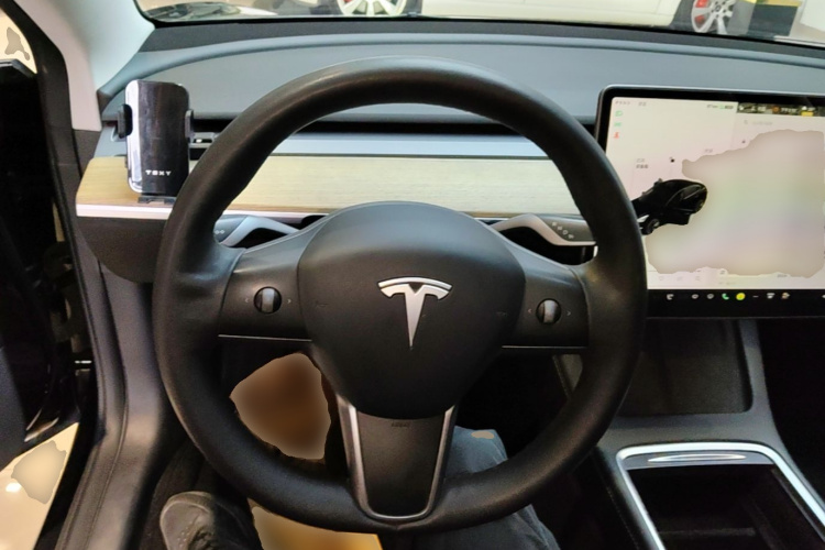 Tesla Model 3 2022 car image #15