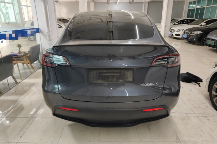 Tesla Model Y 2021 #6 Tesla Model Y 2021 car image #6