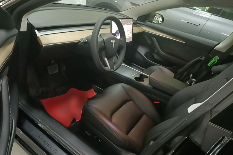 Tesla Model 3 2021 #12 Tesla Model 3 2021 immagine di auto #12