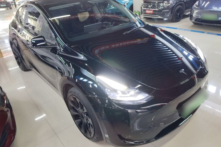 Tesla Model Y 2022 car image #6