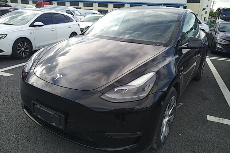 Tesla Model Y 2021 #2 Tesla Model Y 2021 car image #2