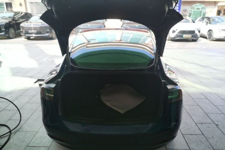 Tesla Model 3 2020 car image #19
