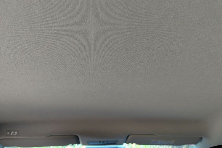 Volkswagen Santana 2021 car image #20