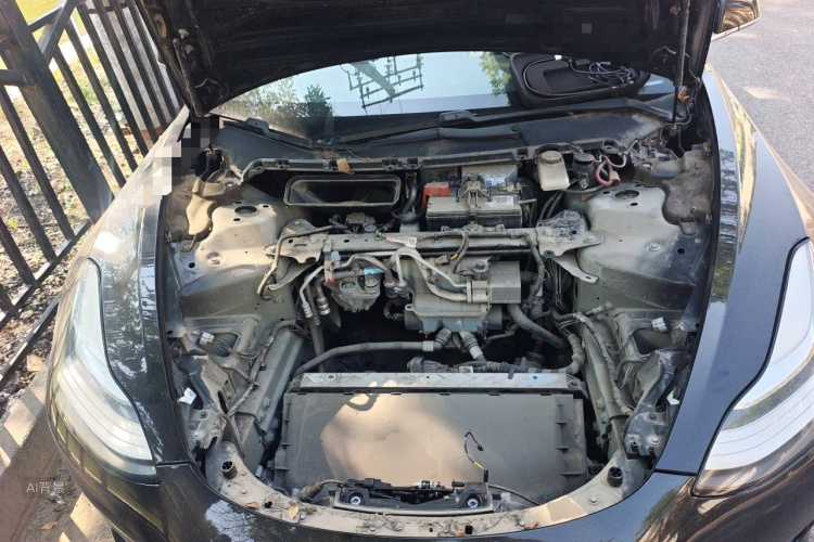 Tesla Model 3 2020 immagine di auto #22