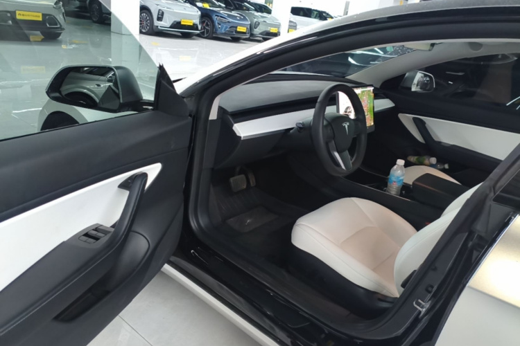 Tesla Model 3 2020 #16 Tesla Model 3 2020 car image #16