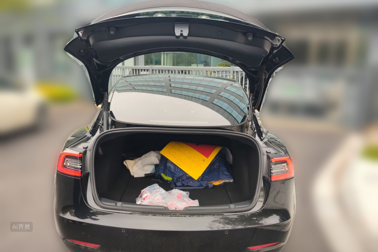 Tesla Model 3 2022 immagine di auto #21