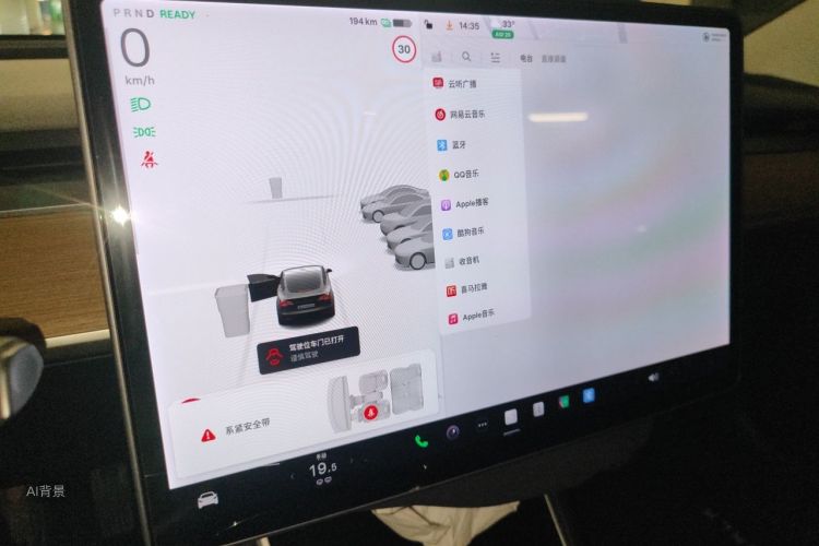 Tesla Model 3 2020 car image #13