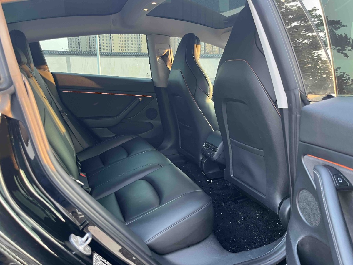 Tesla Model 3 2021 car image #4