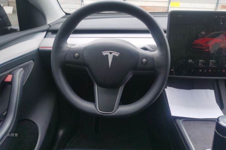 Tesla Model Y 2024 car image #12