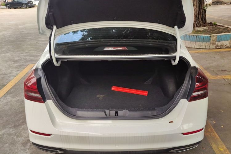 GEELY Emgrand 2021 immagine di auto #19
