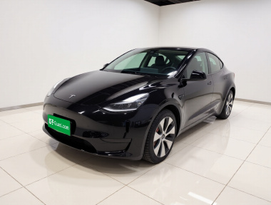 Tesla Model Y 2023 car image 