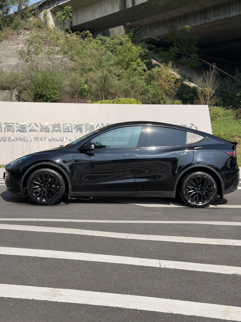 Tesla Model Y 2023 #3 Tesla Model Y 2023 car image #3