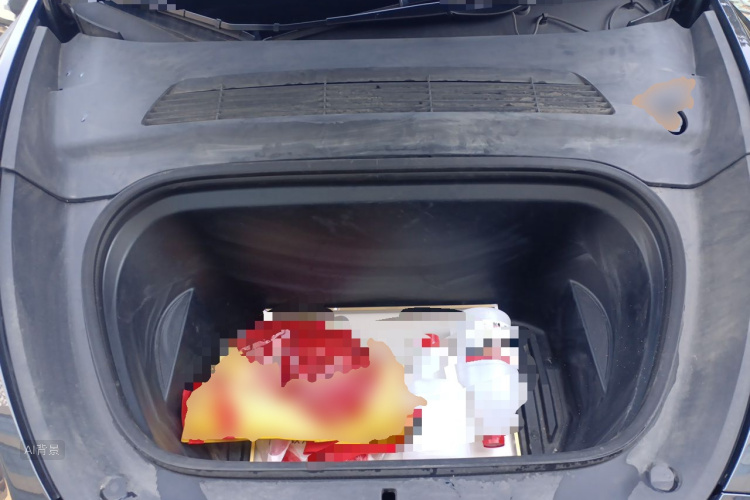 Tesla Model Y 2024 car image #22