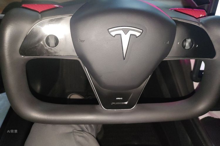 特斯拉 Model 3 2022 汽车图片 #12