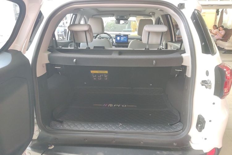 BYD Yuan Pro 2021 car image #19