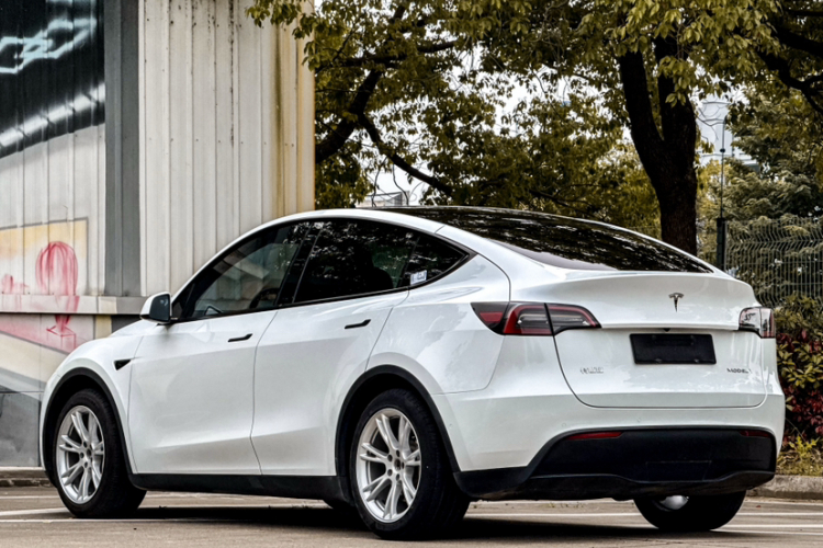 Tesla Model Y 2022 car image #3