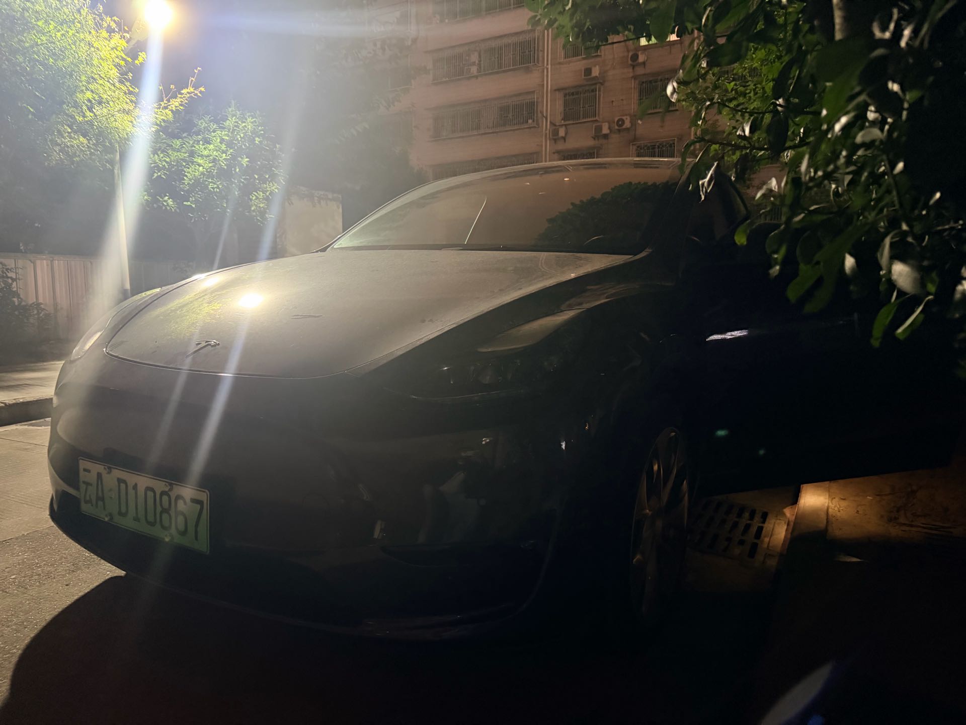Tesla Model Y 2021 #7 Tesla Model Y 2021 car image #7