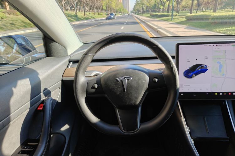 Tesla Model 3 2020 car image #11