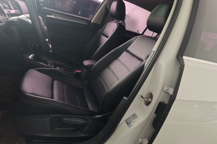 Volkswagen Golf 2019 car image #15