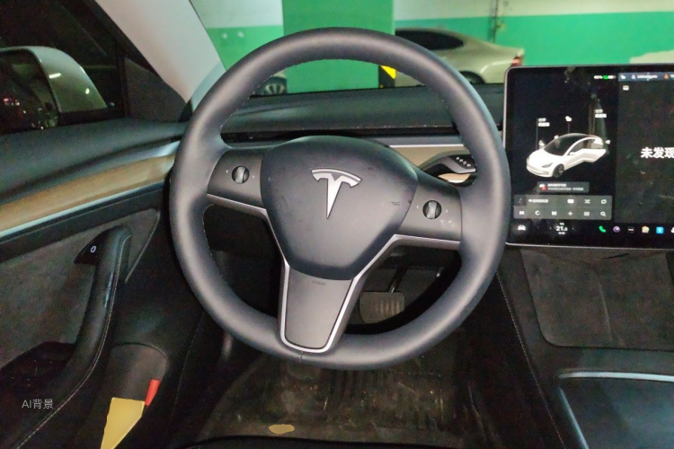 Tesla Model 3 2021 car image #12