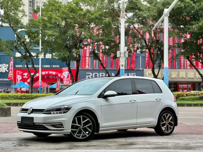 Volkswagen Golf 2019 Volkswagen Golf 2019 car image
