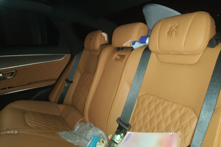 BYD Han 2022 #19 BYD Han 2022 immagine di auto #19