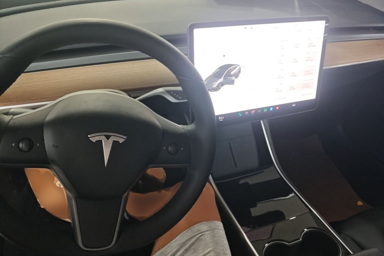 Tesla Model 3 2020 car image #10