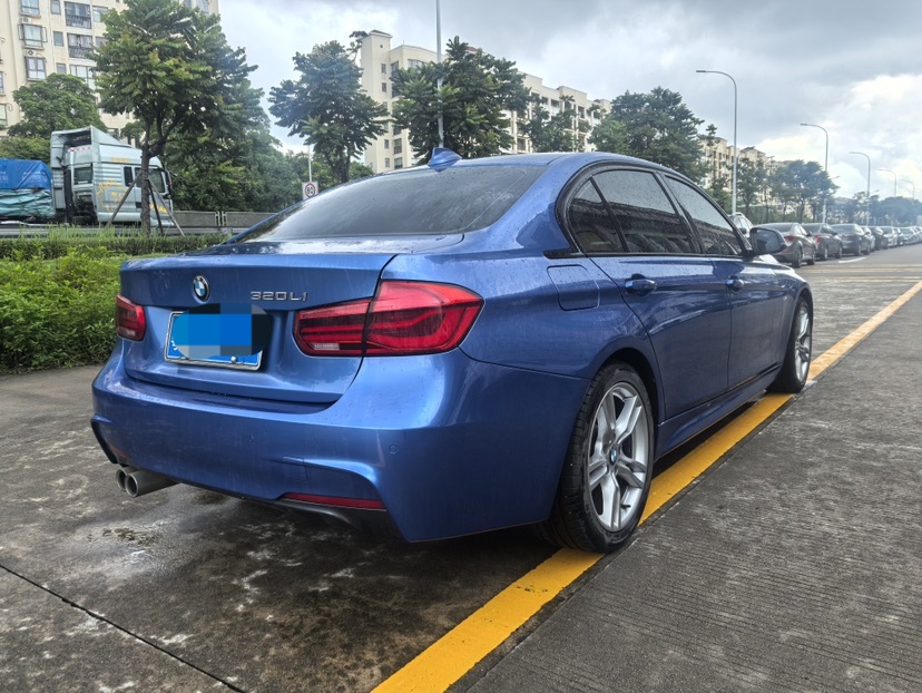 BMW 3 Series 2018 car image #6