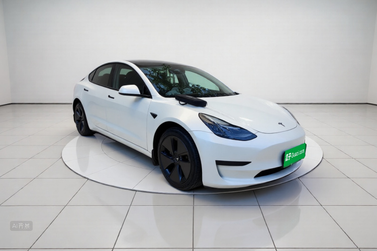 Tesla Model 3 2023 car image #4
