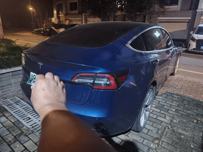 Tesla Model 3 (Imported) 2019 #8 Tesla Model 3 (Imported) 2019 imagem de carro #8